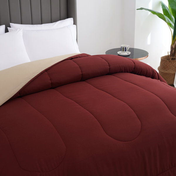 Ebern Designs Boscov All Seasons Down Alternative Single Reversible Comforter & Reviews